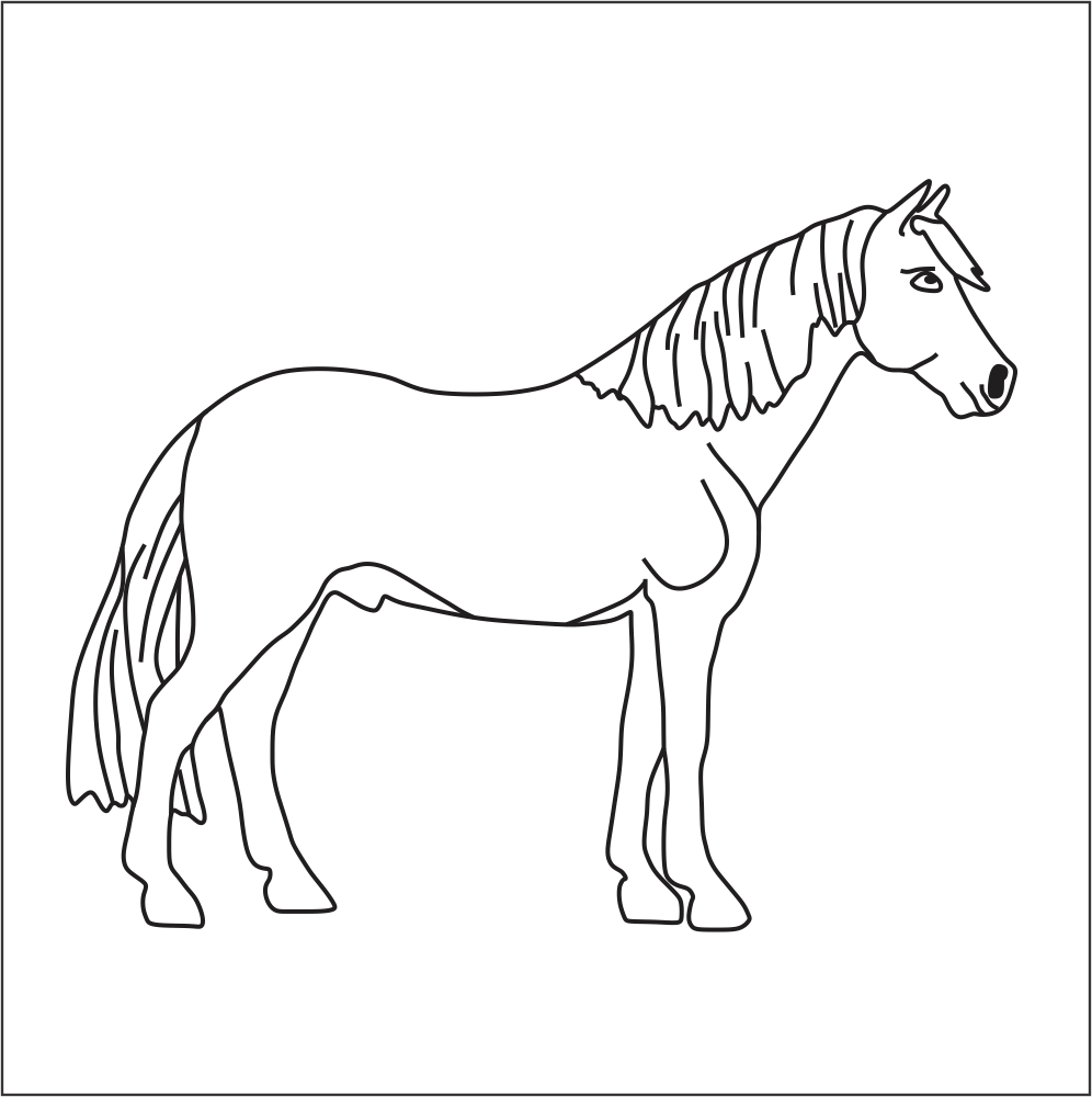 imagens de cavalos para colorir